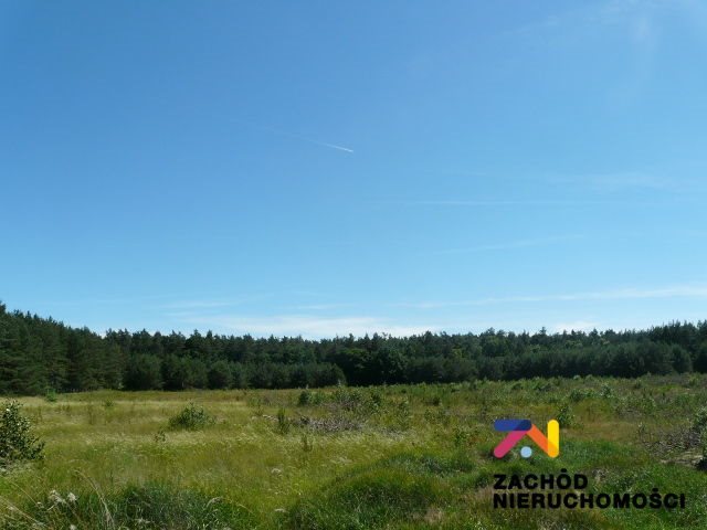 Działka 4,7 ha pod inwestycję, las, media, dojazd asfalt Moczydło  47 000m2 Foto 1