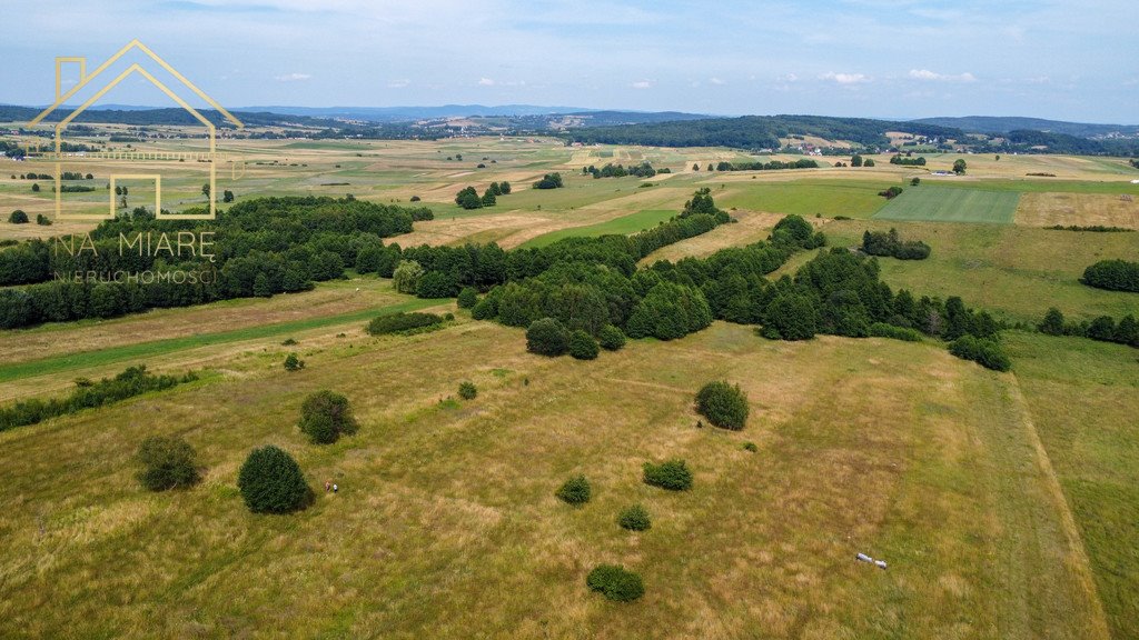 Działka rolna na sprzedaż Łężyny  1 500m2 Foto 4