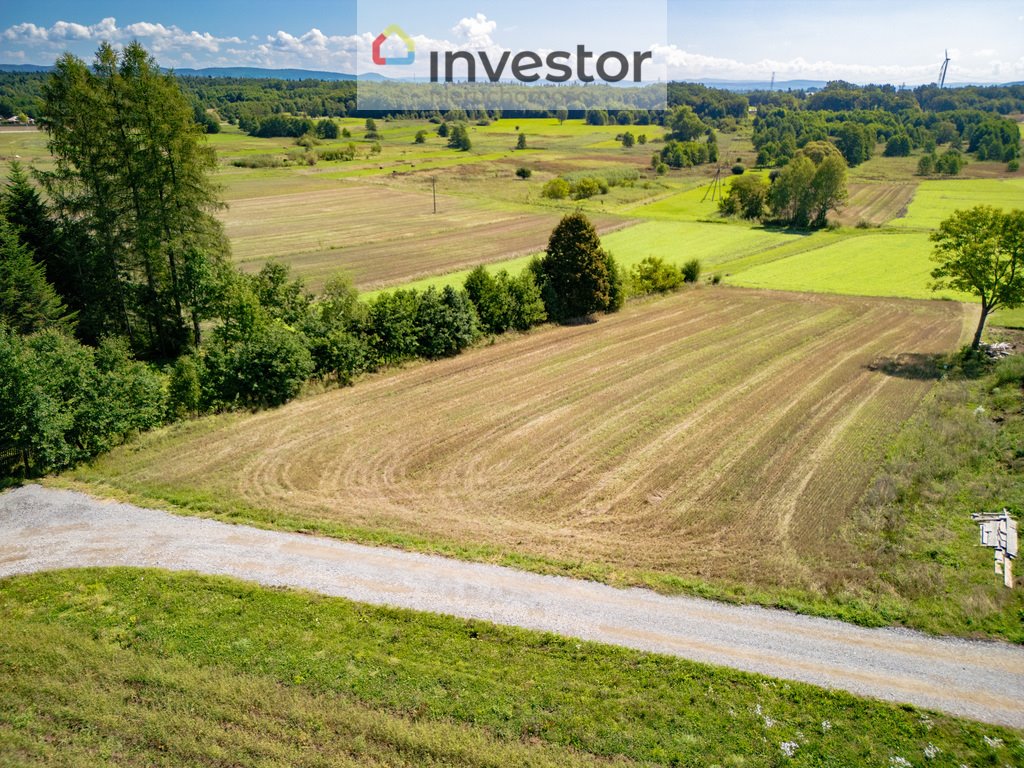 Działka budowlana na sprzedaż Targowiska  3 600m2 Foto 3