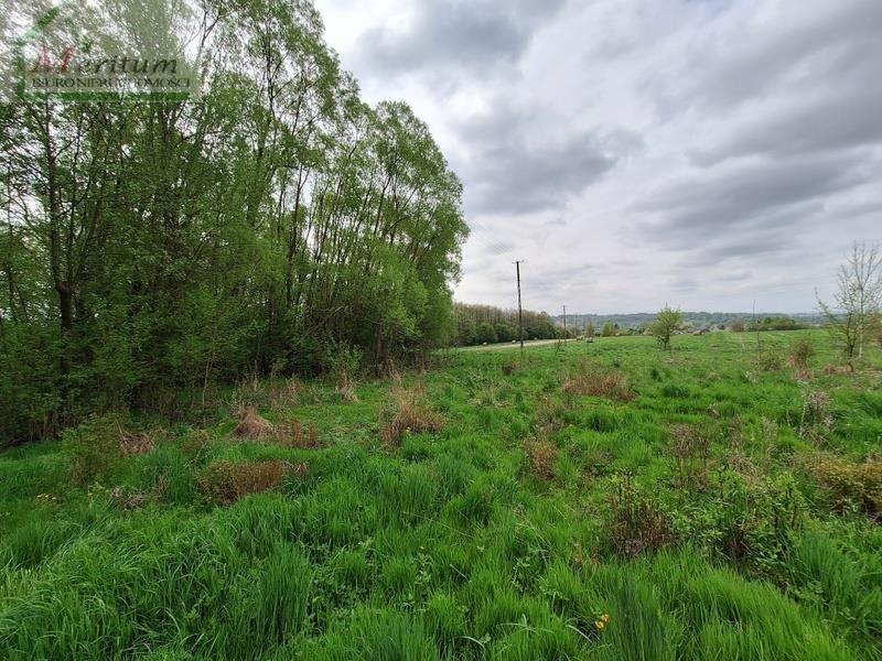 Działka budowlana na sprzedaż Korczyna  6 400m2 Foto 3