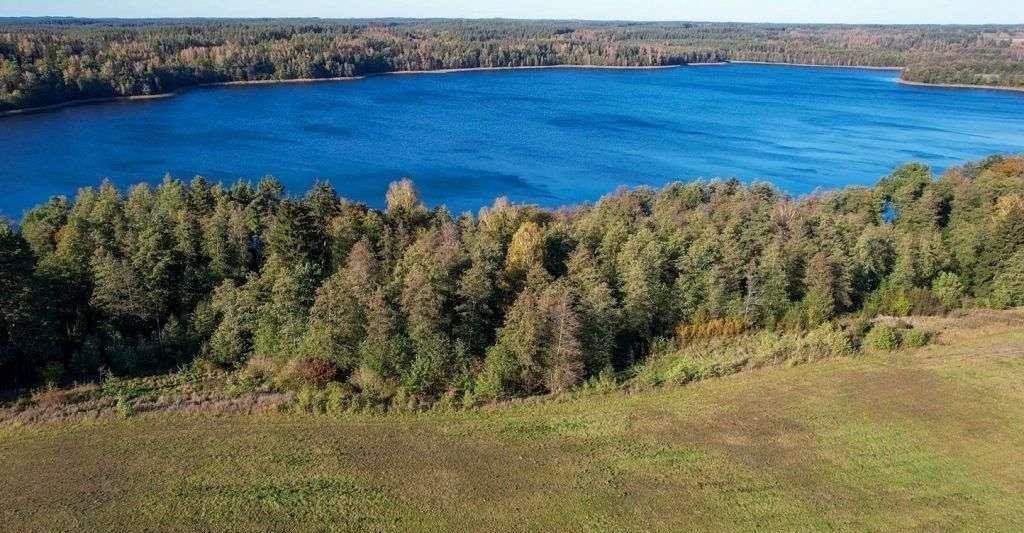 Działka rolna na sprzedaż Ramsowo  6 195m2 Foto 5