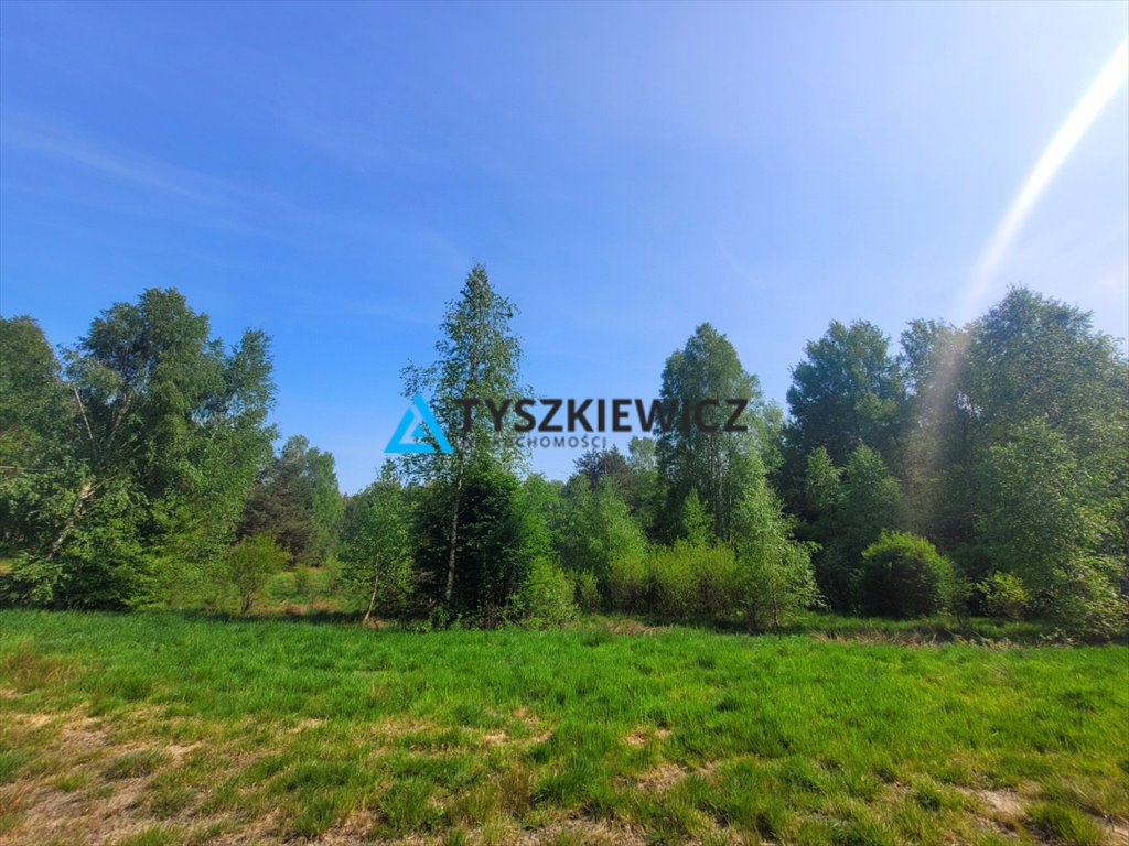 Działka 4000 m² w Osowo Leśne z lasem i jeziorami Osowo Leśne  4 000m2 Foto 1