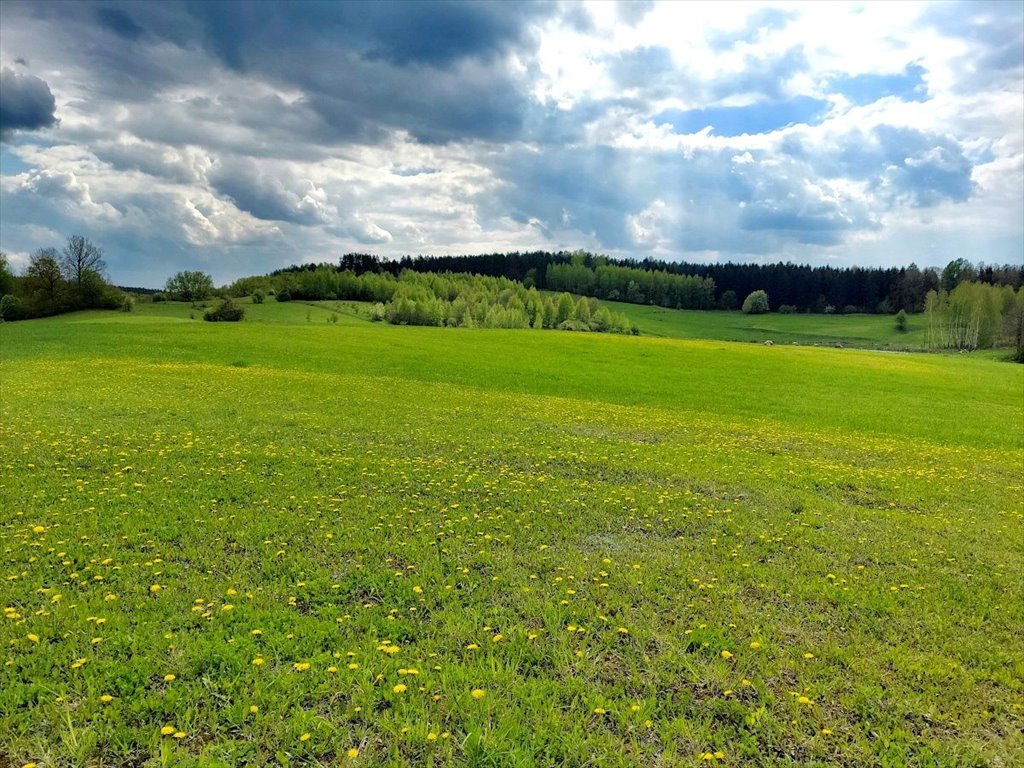 Działka rolna na sprzedaż Jeziorko, Jeziorko  3 018m2 Foto 6