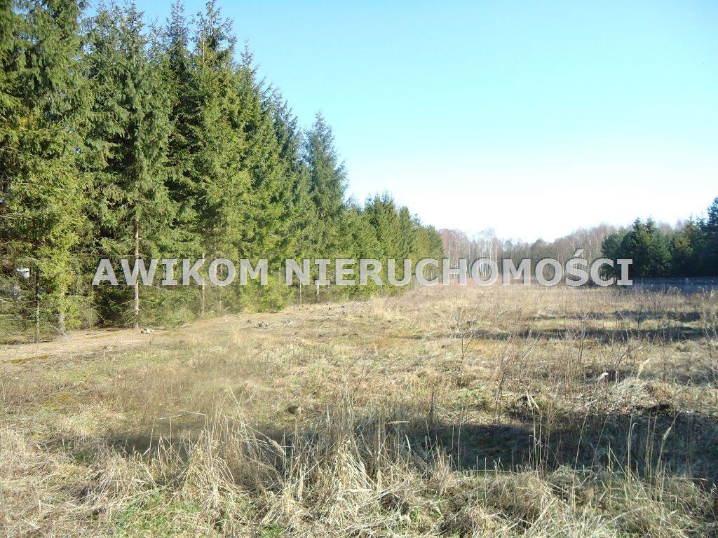 Działka budowlana na sprzedaż Bartoszówka  1 029m2 Foto 2