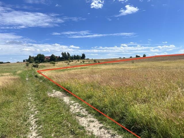 Działka rolna na sprzedaż Zieleniewo, Jantarowa  3 000m2 Foto 5