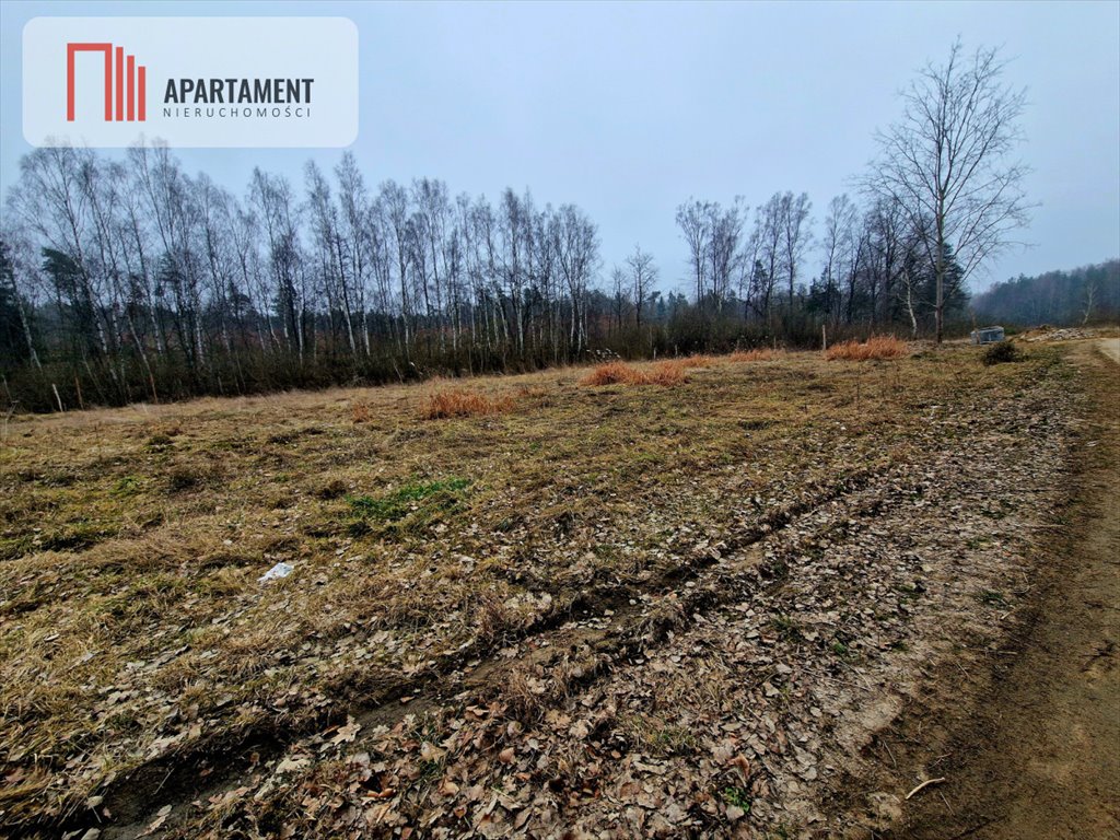 Działka budowlana na sprzedaż Warzenko  2 050m2 Foto 1