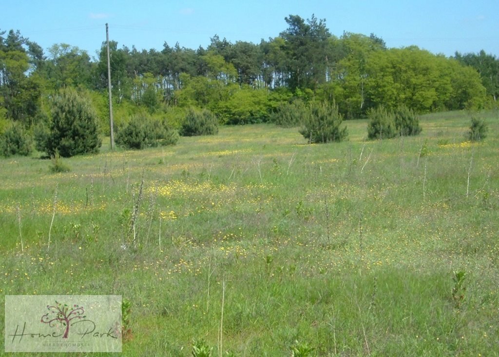 Działka inna na sprzedaż Bełchatów  1 200m2 Foto 1