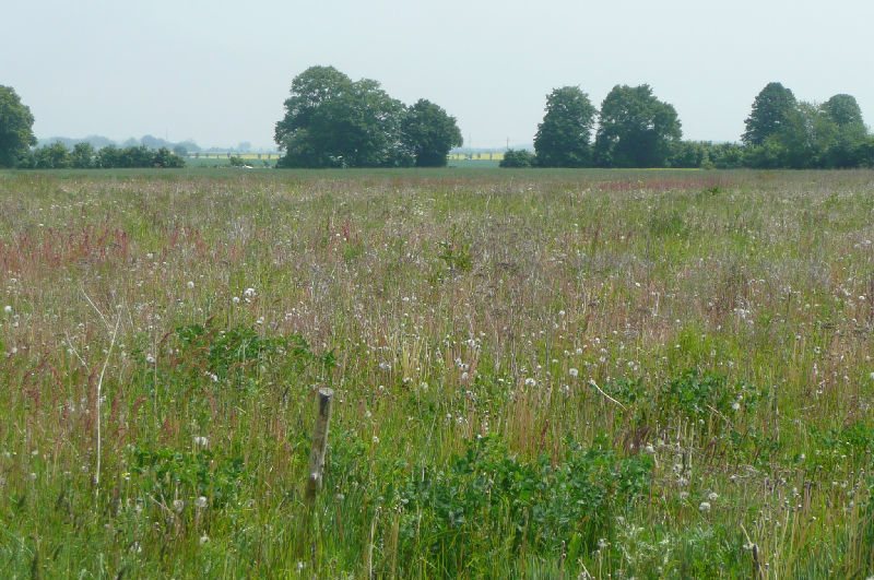 Działka rolna na sprzedaż Połczyno  20 888m2 Foto 1