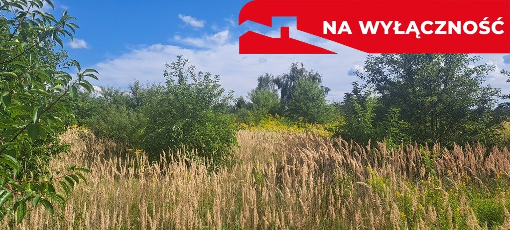 Działka 30 arów w Susznie - blisko Włodawy, polecam Suszno, Olszana  3 000m2 Foto 1