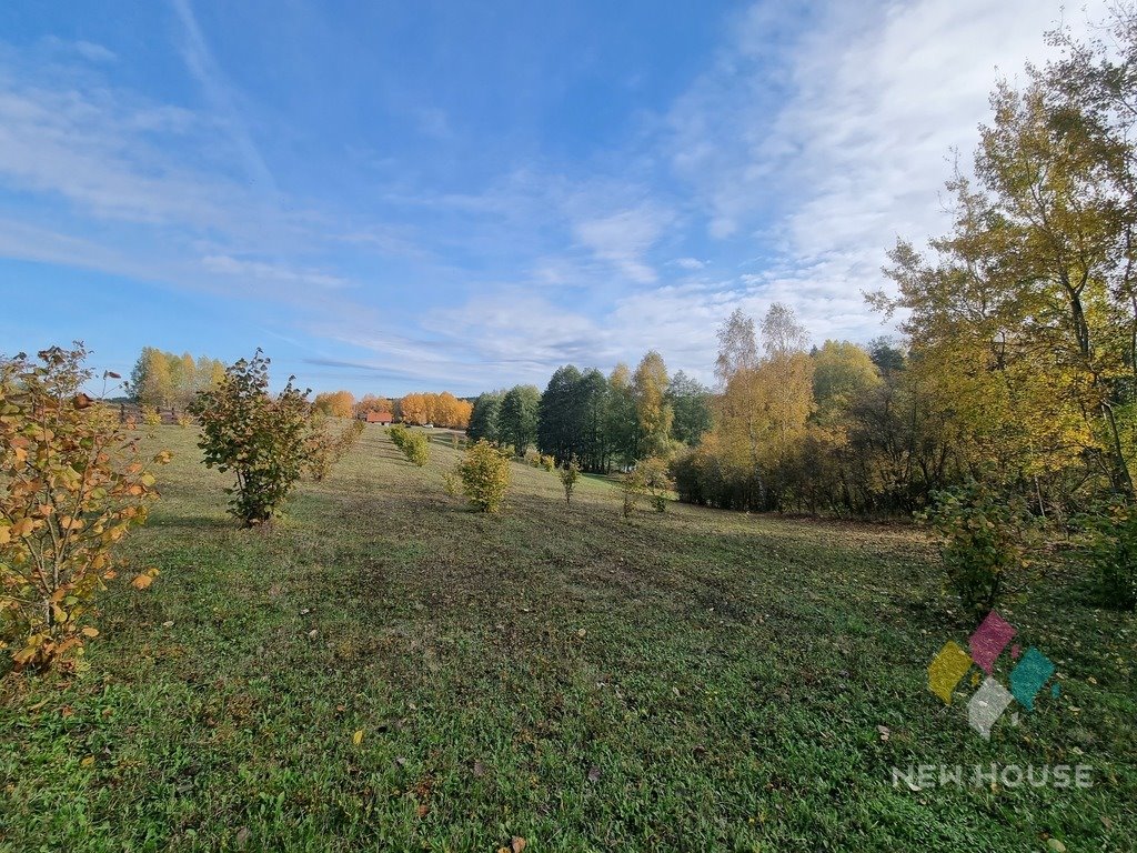 Działka budowlana na sprzedaż Leleszki  59 460m2 Foto 14