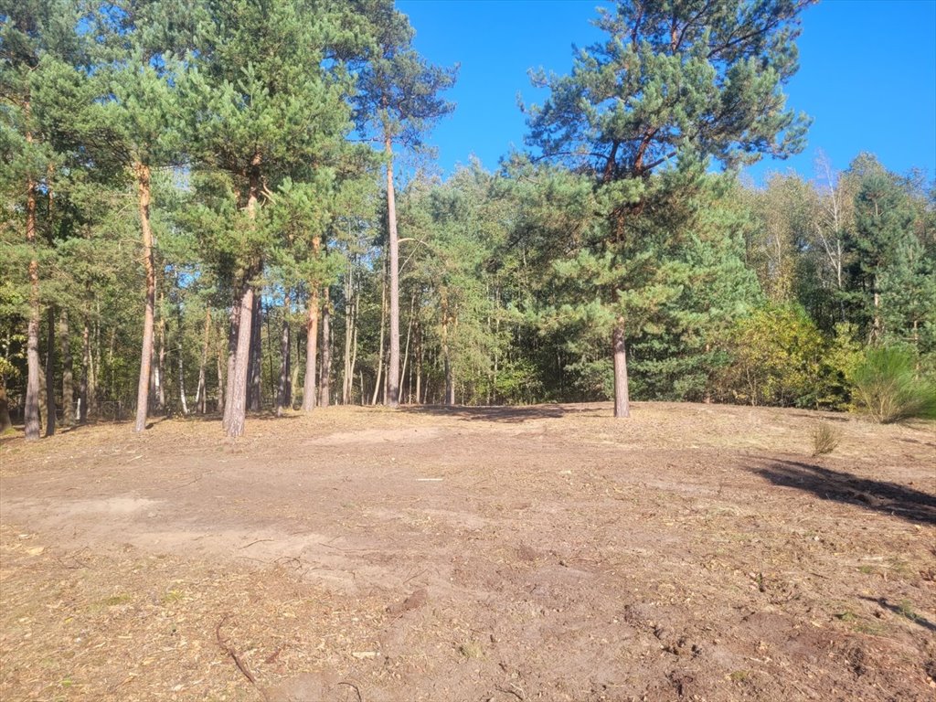 Działka budowlana na sprzedaż Nowe Grabie, Pod Klonami  2 800m2 Foto 2