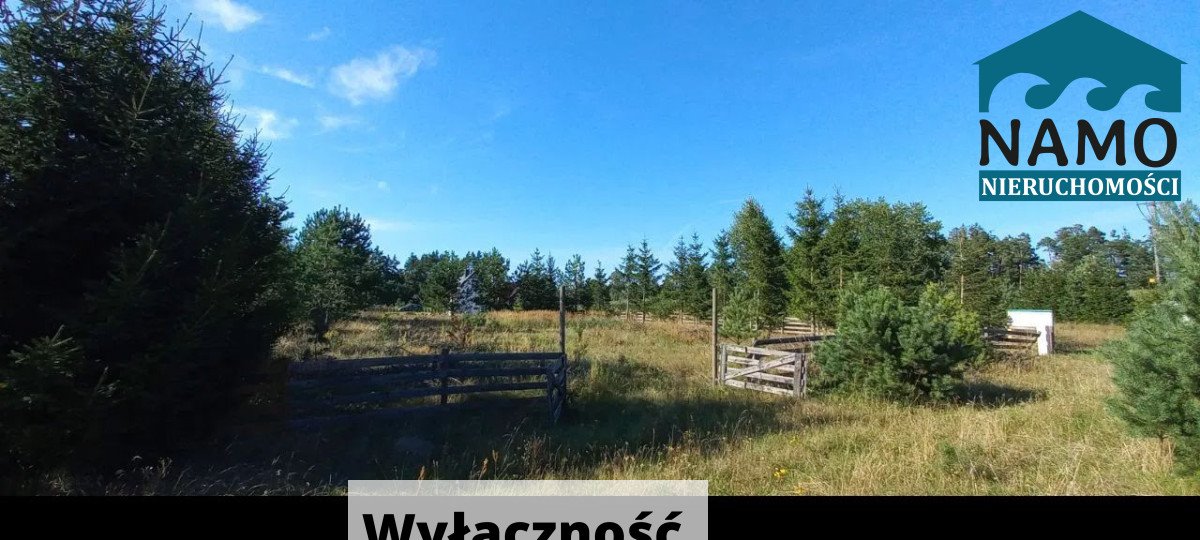 Działka budowlana na sprzedaż Wiele  1 044m2 Foto 1