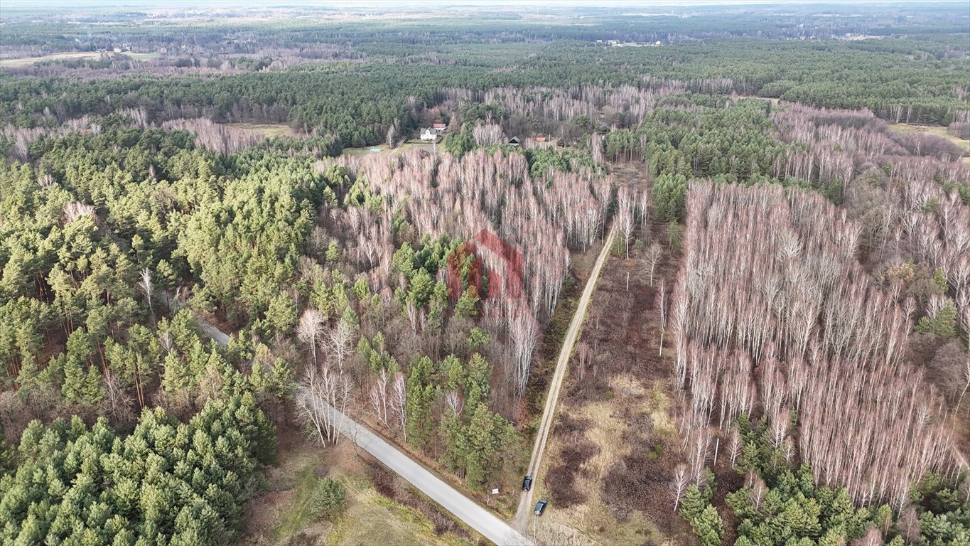 Działka budowlana na sprzedaż Czarna Sędziszowska  1 350m2 Foto 3