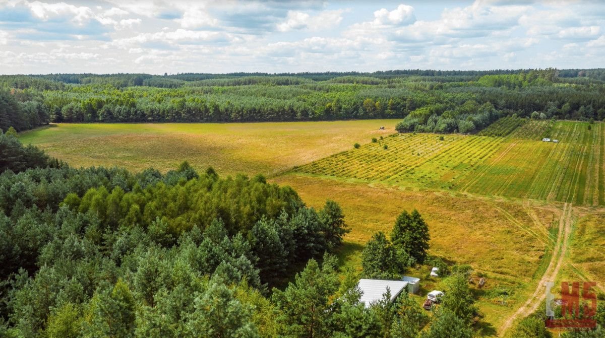 Dom na sprzedaż Plebanowo  83 800m2 Foto 20