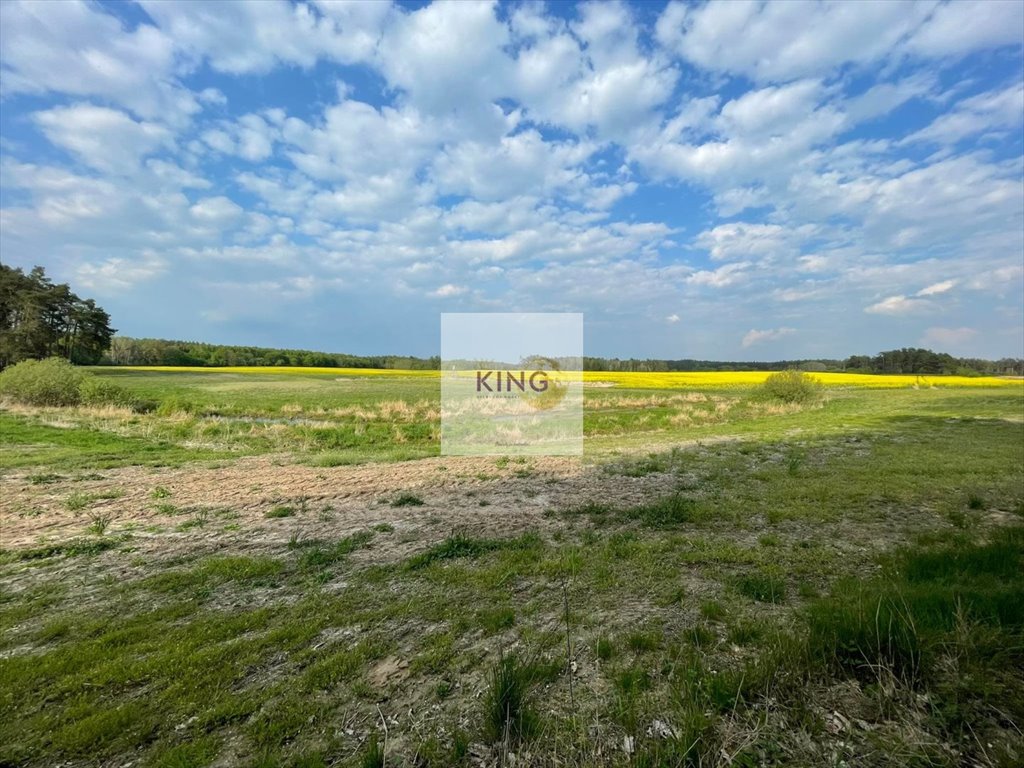 Działka 35 ha z lasem i zabudowaniami, idealna pod agroturystykę Kamień Pomorski  358 300m2 Foto 1