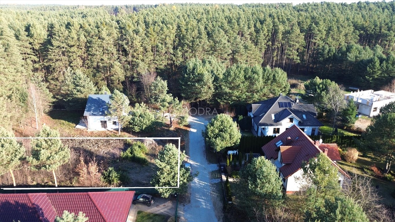 Działka 1200 m² pod dom w lesie, MPZP, media, spokój Biskupice Oławskie, Celina  1 200m2 Foto 1