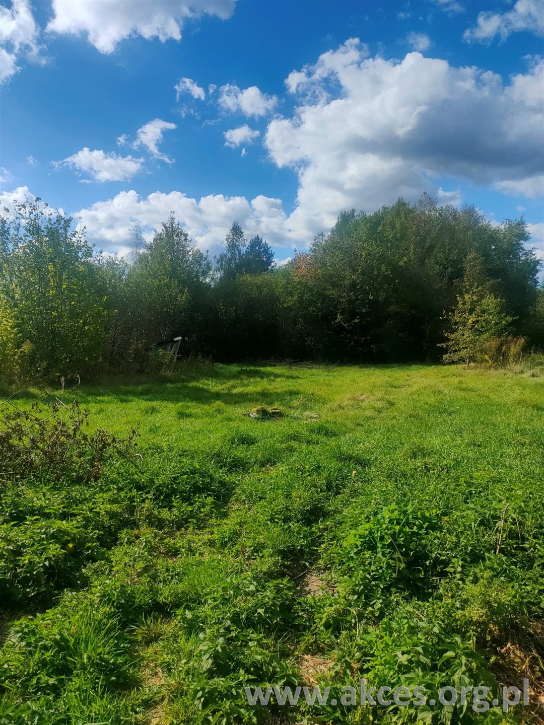 Działka budowlana na sprzedaż Grochowa  2 231m2 Foto 1