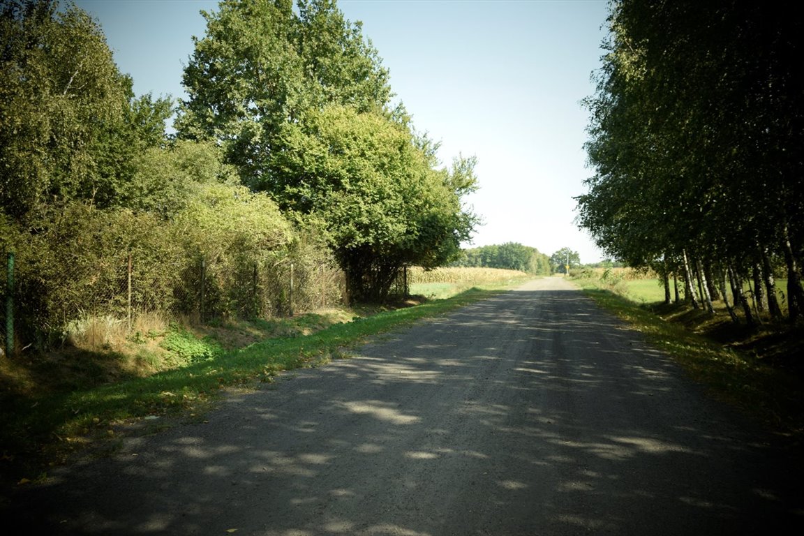 Działka rolna na sprzedaż Wierzbówiec  3 400m2 Foto 9