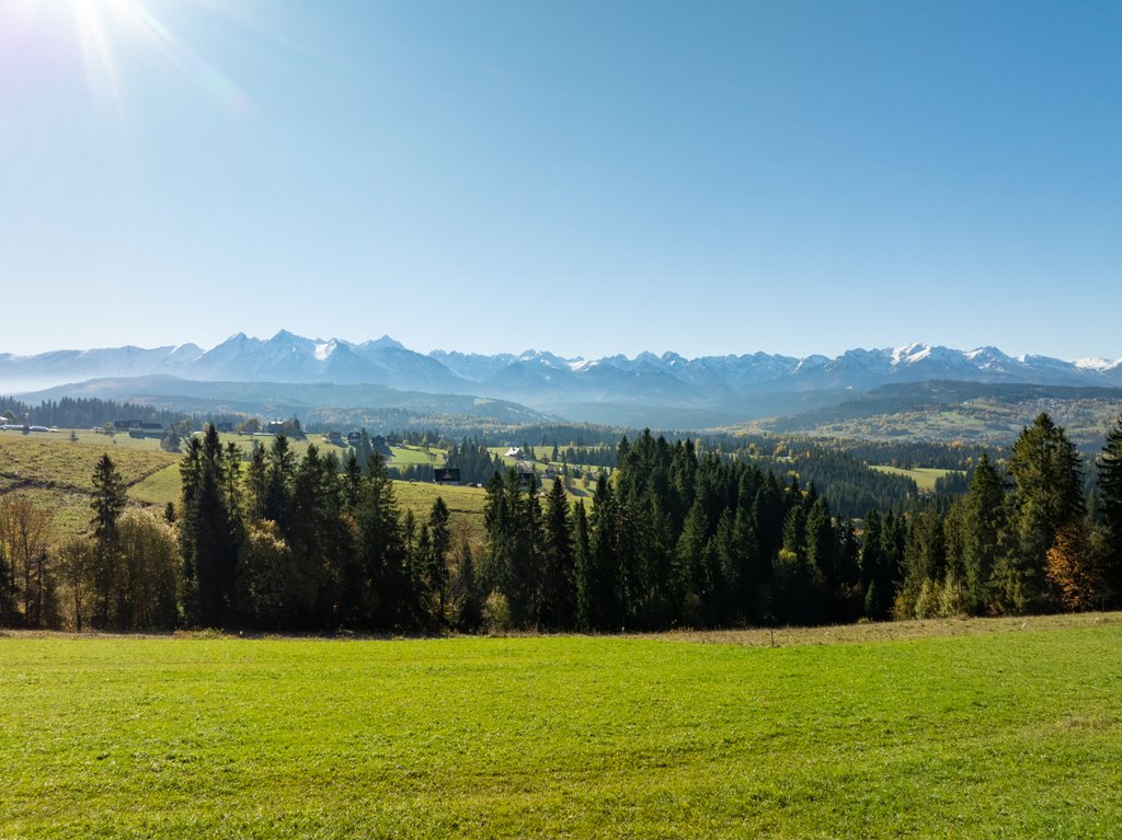 Działka rolna na sprzedaż Rzepiska  1 418m2 Foto 1