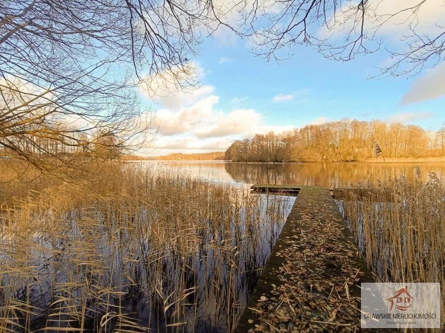 Działka rolna na sprzedaż Warniłęg, Uraz  20 000m2 Foto 1