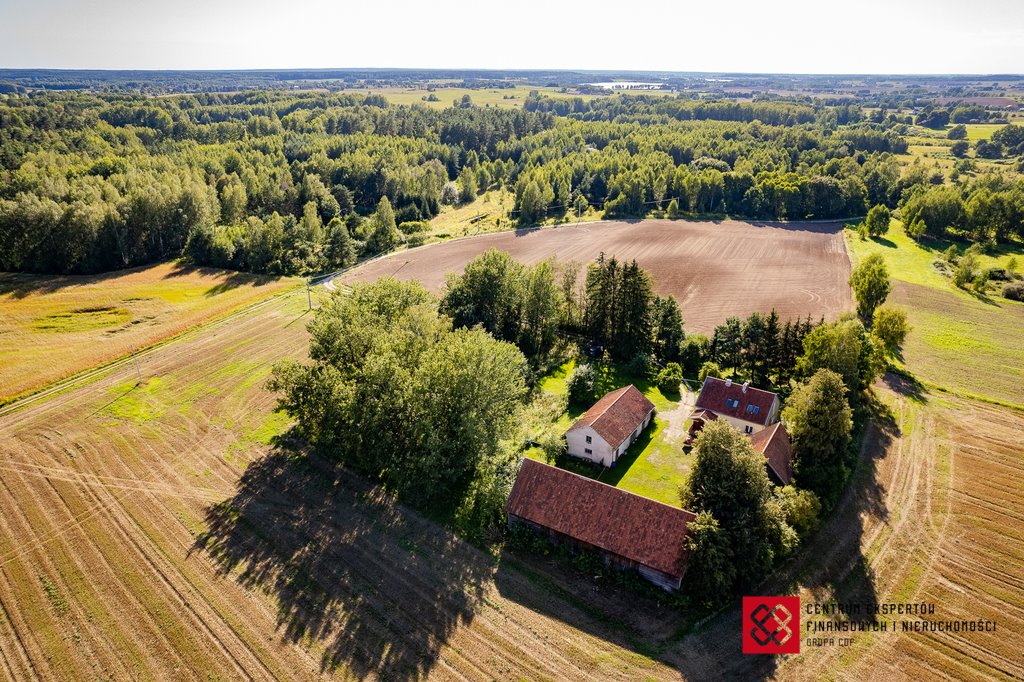 Działka siedliskowa na sprzedaż Skajboty  11 269m2 Foto 20