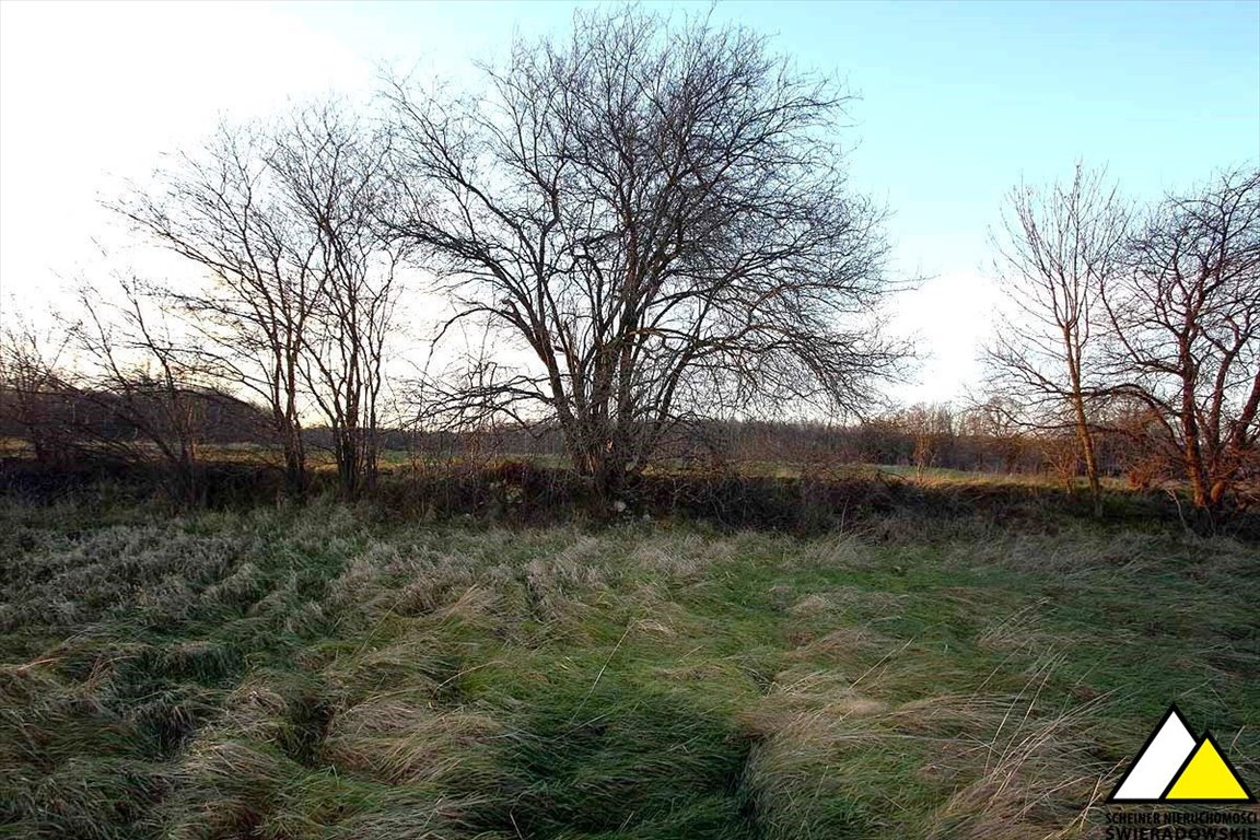 Działka budowlana na sprzedaż Mirsk  1 042m2 Foto 10