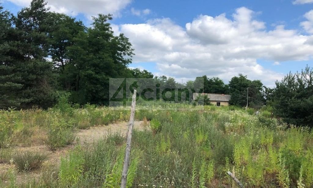 Działka komercyjna na sprzedaż Stara Wieś  3 680m2 Foto 1