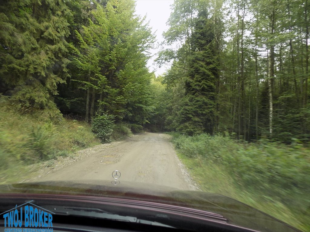 Działka inwestycyjna na sprzedaż Rozłazino  342 160m2 Foto 5