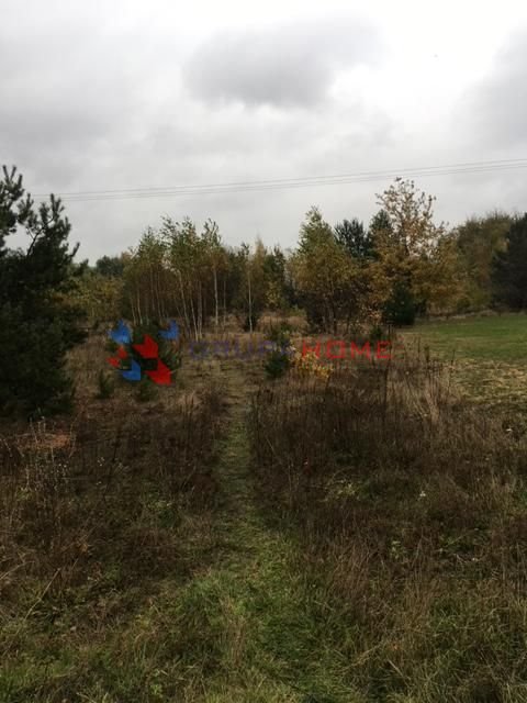 Działka budowlana na sprzedaż Prażmów  1 000m2 Foto 4