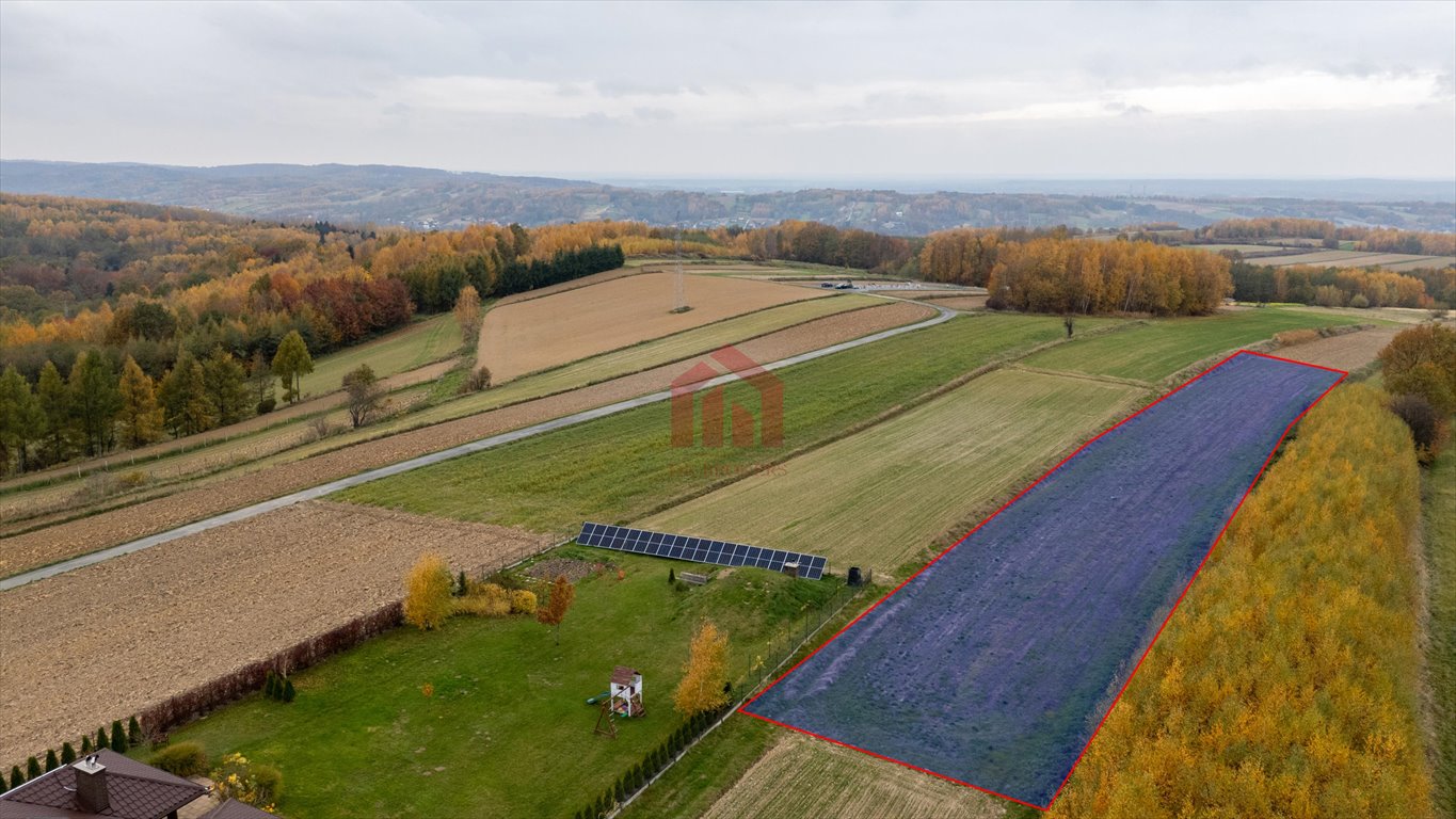 Działka budowlana na sprzedaż Ropczyce, Granice  3 556m2 Foto 6