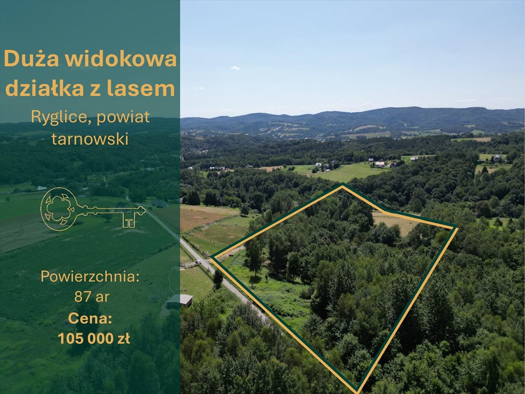 Działka 8,7 tys. m² z warunkami zabudowy - polecam Ryglice  8 700m2 Foto 1