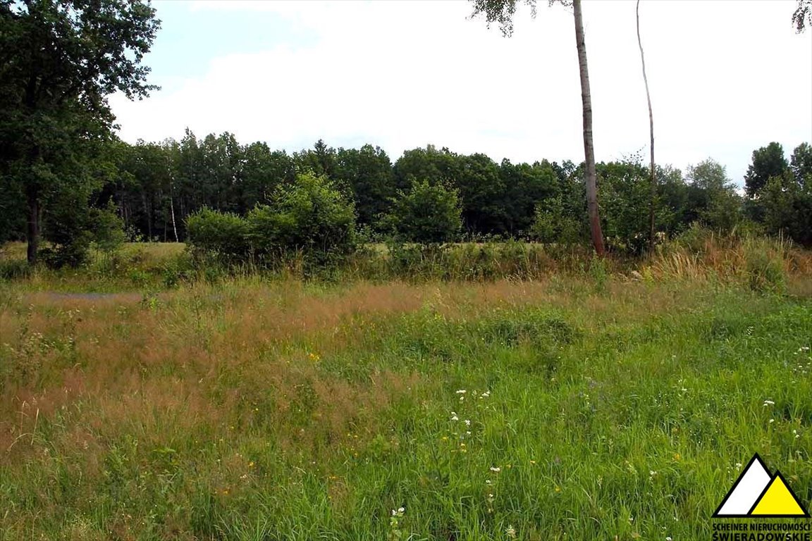 Działka budowlana na sprzedaż Rębiszów, Rębiszów  1 000m2 Foto 5