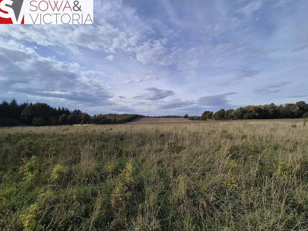 Zapraszam do zakupu działki 7 600 m² w Kłaczynie Kłaczyna  7 600m2 Foto 1