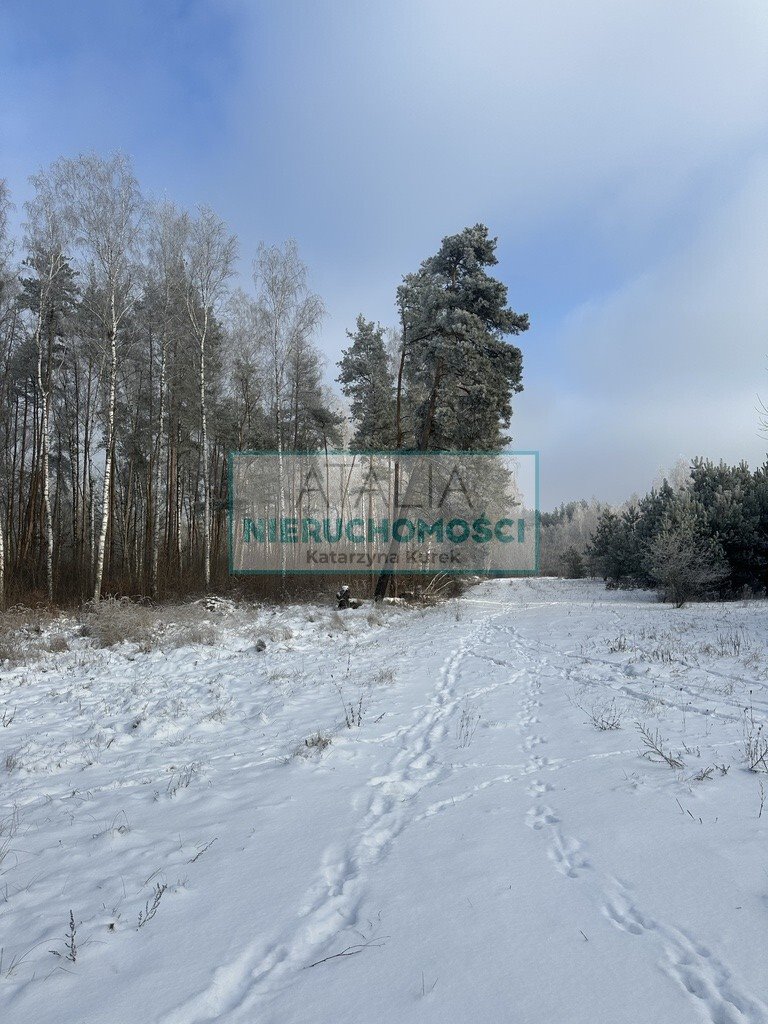Sprzedam działkę leśną 13 800 m² z możliwością zabudowy Grzegorzewice  13 800m2 Foto 1