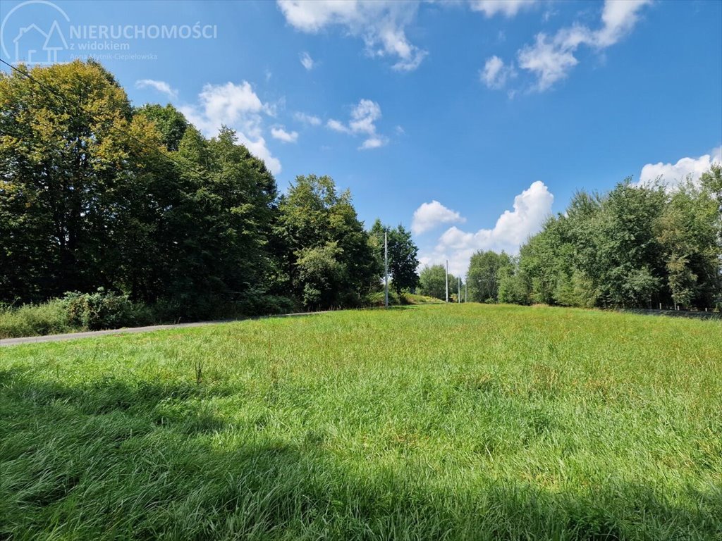 Działka budowlana na sprzedaż Łomna  1 347m2 Foto 4