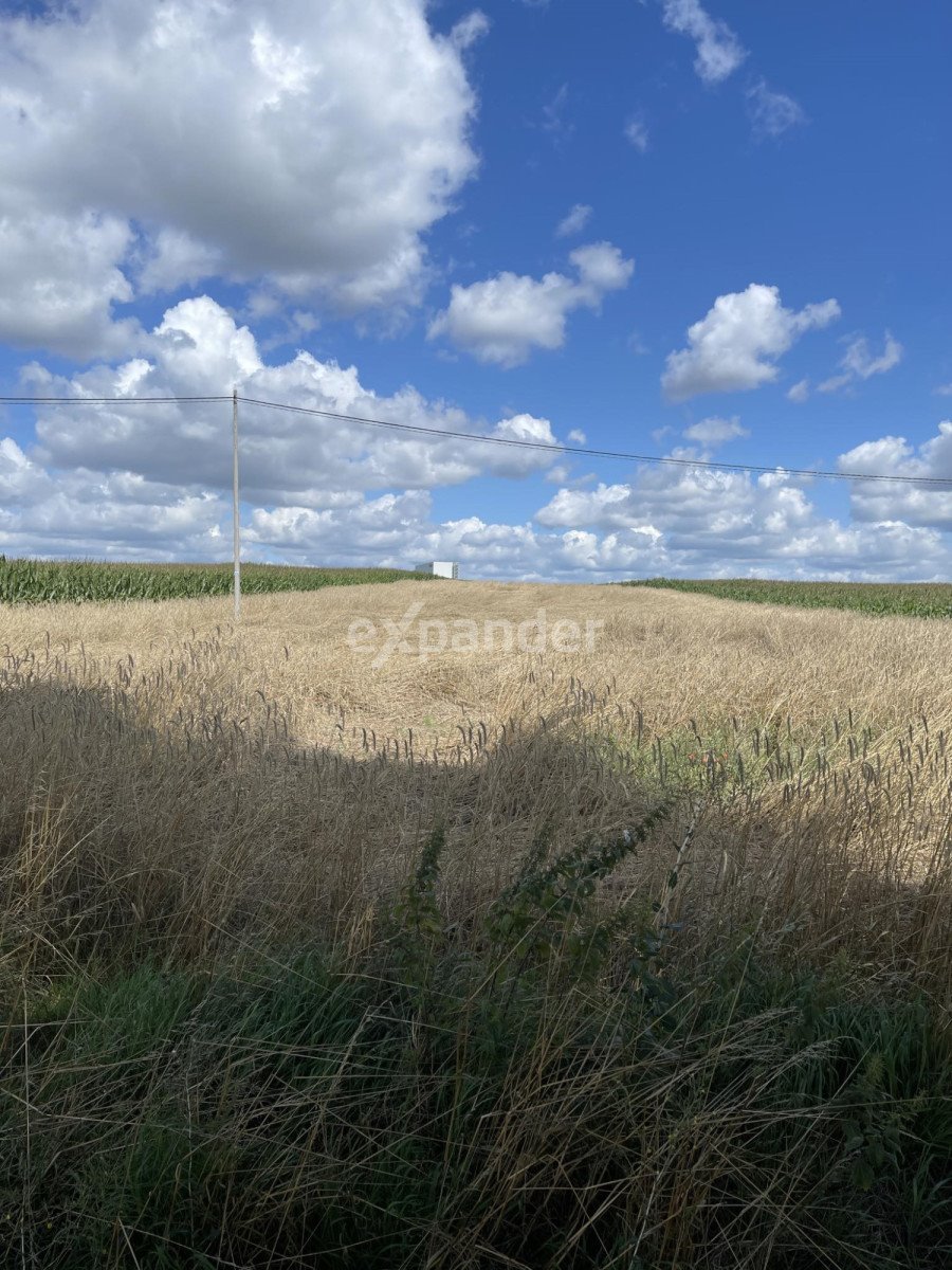 Działka rolna na sprzedaż Trojanów  11 900m2 Foto 1