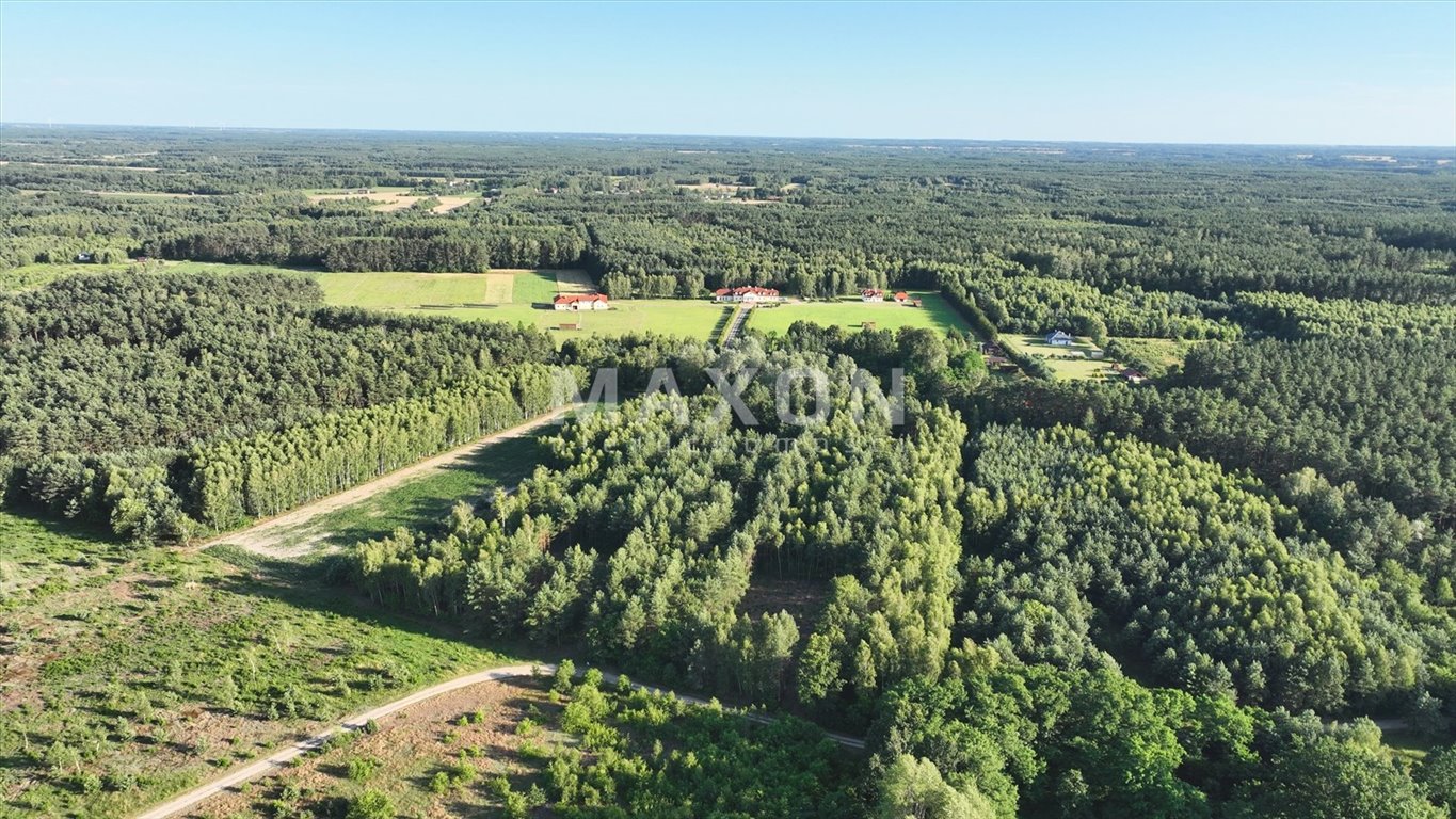 Działka budowlana na sprzedaż Przepitki  6 174m2 Foto 6