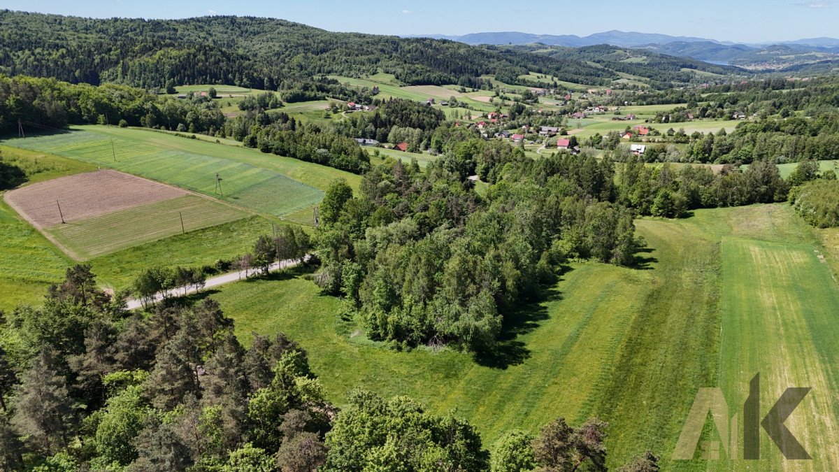 Działka budowlana na sprzedaż Podole-Górowa  4 000m2 Foto 7