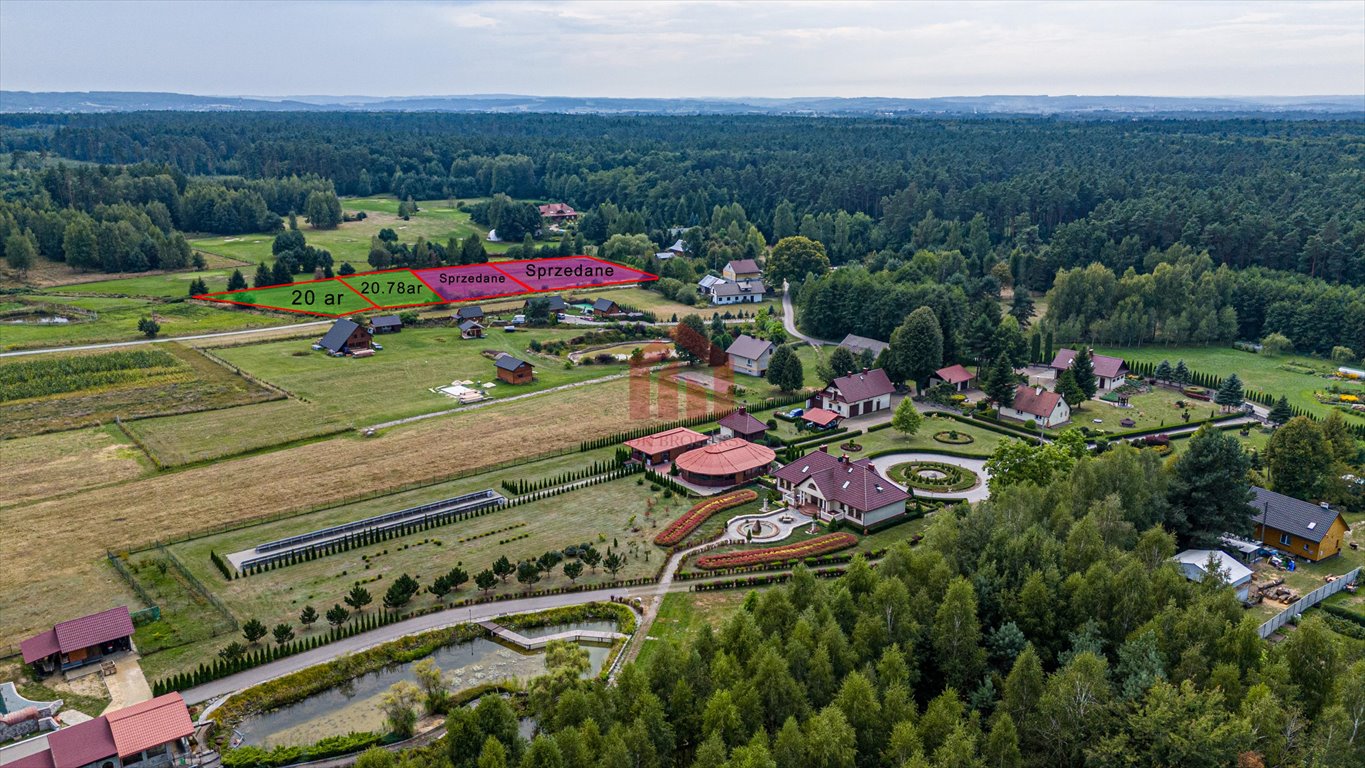 Działka budowlana na sprzedaż Krzywa  2 000m2 Foto 1