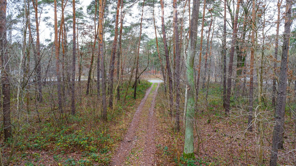 Działka budowlana na sprzedaż Sękocin-Las, Al. Krakowska  2 392m2 Foto 12