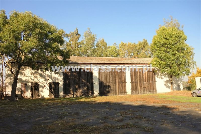 Lokal użytkowy na sprzedaż Buszkowo, - 1 280m2 Foto 1 Lokal użytkowy na sprzedaż Buszkowo, - 1 280m2 Foto 1