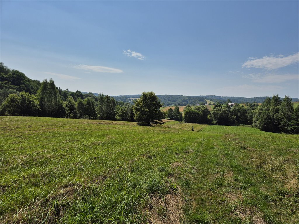 Działka rolna na sprzedaż Golcowa  8 051m2 Foto 7