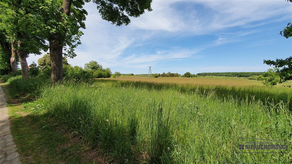 Działka inna na sprzedaż Nieżyn, działka  1 500m2 Foto 8