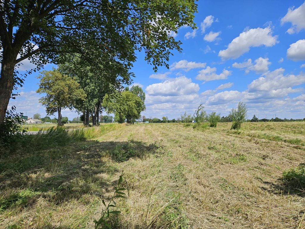 Działka budowlana na sprzedaż Bieniewo-Parcela  1 001m2 Foto 1