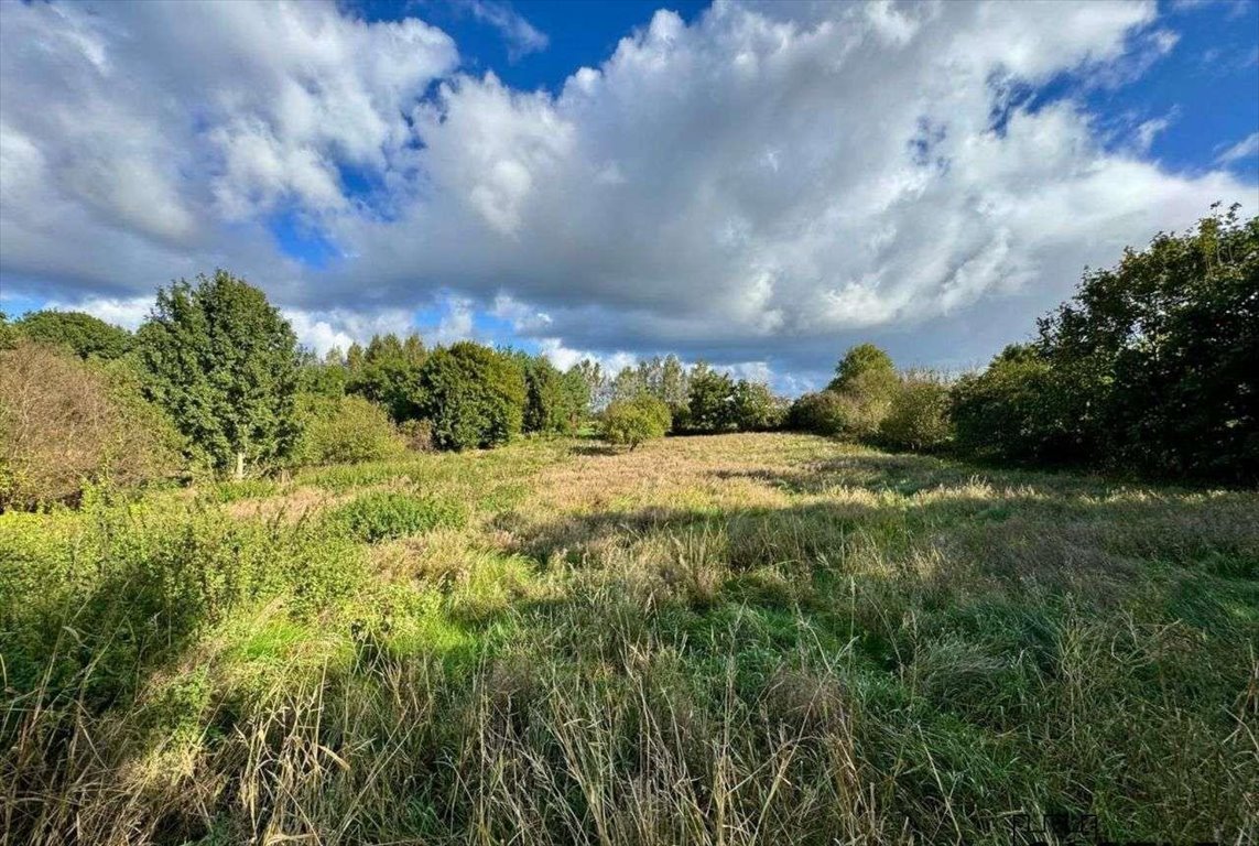 Działka budowlana na sprzedaż Gorzyno  5 800m2 Foto 7