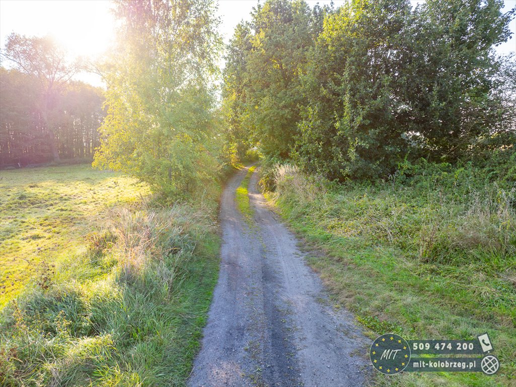 Działka budowlana na sprzedaż Daszewo  1 222m2 Foto 8