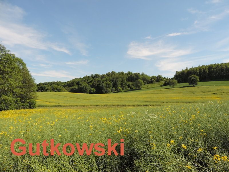 Działka rolna na sprzedaż Lekarty, Gmina Nowe Miasto Lubawskie  3 408m2 Foto 2
