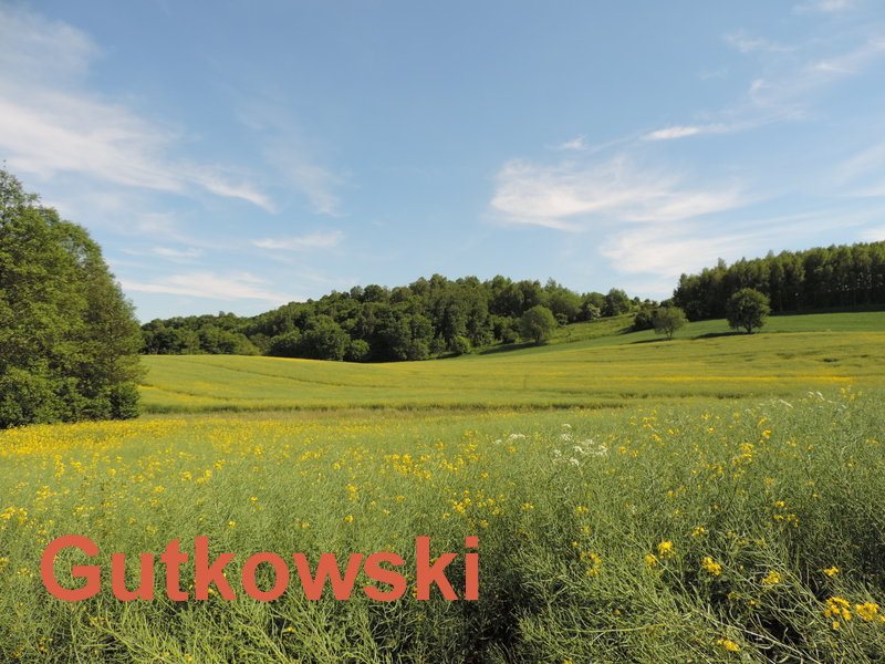 Zapraszam do zakupu działki 2223 m² z widokiem na las i jeziora Lekarty, Powiat nowomiejski, Gmina Nowe Miasto Lubawskie  2 223m2 Foto 1