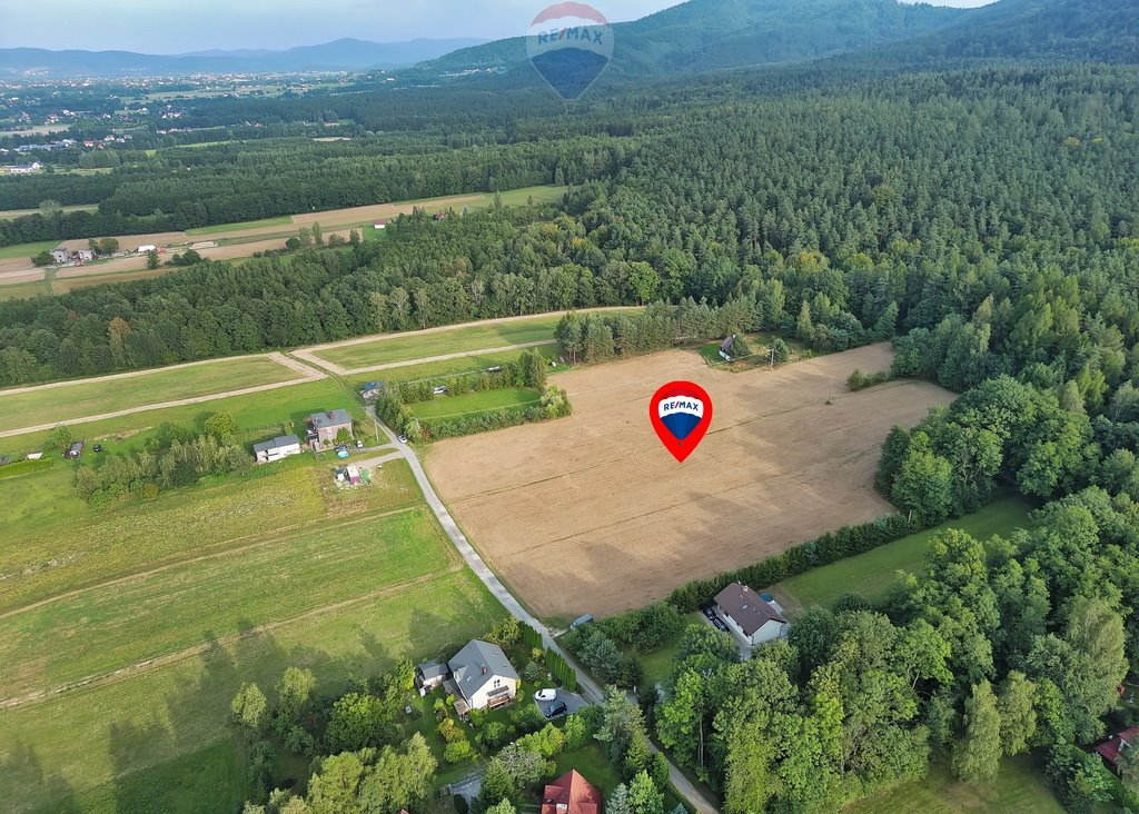 Działka budowlana na sprzedaż Czaniec  18 318m2 Foto 7