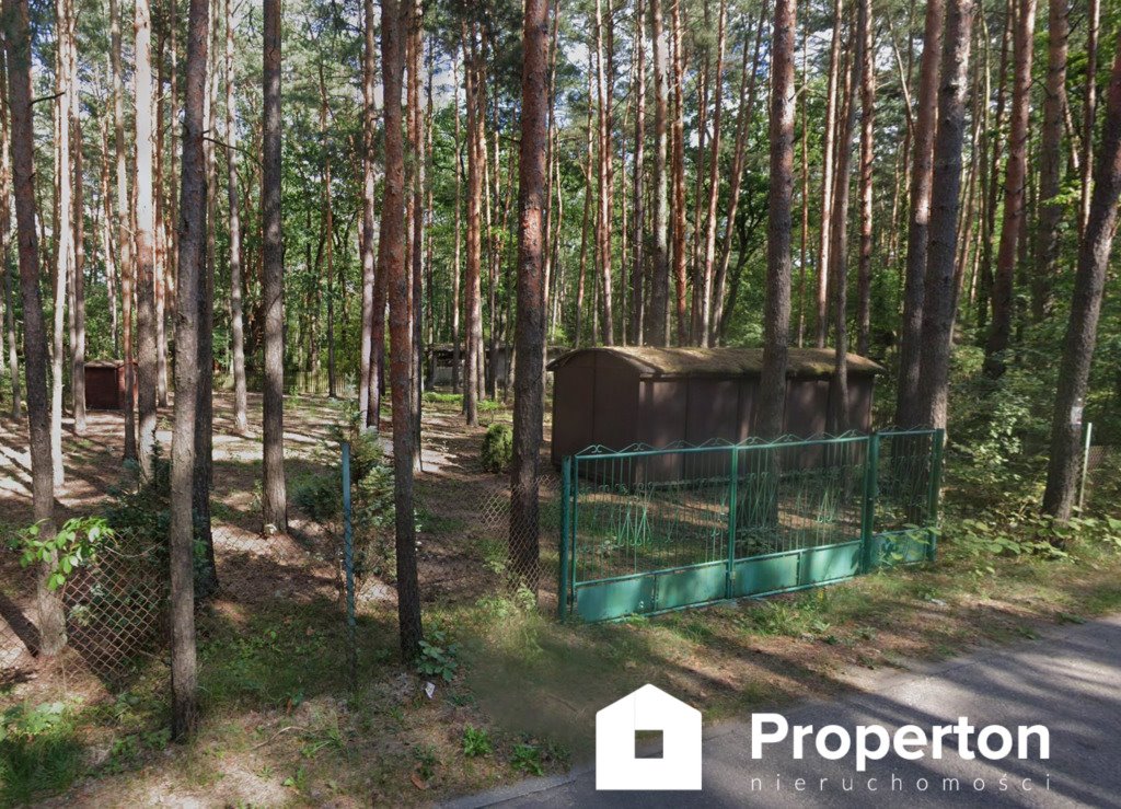 Na sprzedaż leśna działka 971 m² z potencjałem rekreacyjnym Poddębie, Sosnowa  971m2 Foto 1